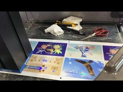 Roll To Roll Foil Stamping And Varnishing Machine Digital Label Enhancement Printer