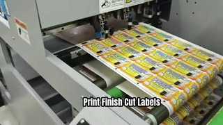 Digital Entry Level Roll Label Printing and Finishing machine