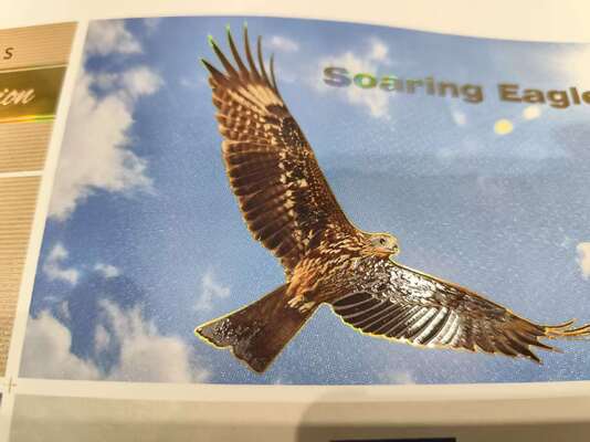 Digital Label Varnish Printing and Cold Foil Stamping Enhancement Machine EcooSpark