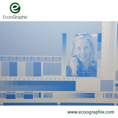 Double Layer Offset Packaging CTP Printing Plates Non Ablative Coating