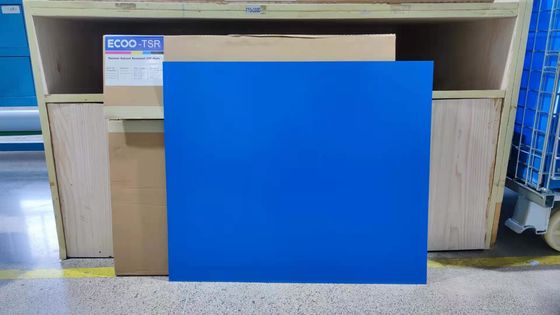 Double Layered Thermal CTP Plate ECOO-TSR for Offset Printing